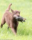 20170603-shrl-0675