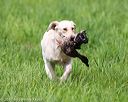 20170603-shrl-0690