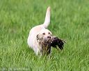 20170603-shrl-0693