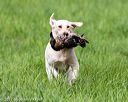 20170603-shrl-0695