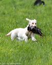 20170603-shrl-0700