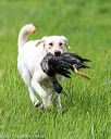 20170603-shrl-0707