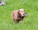 20170603-shrl-0763