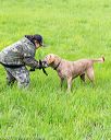 20170603-shrl-0774