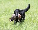 20170603-shrl-0832