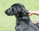 20170603-shrl-0840