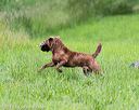 20170603-shrl-0864