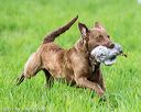 20170603-shrl-0868