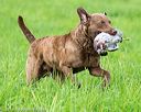 20170603-shrl-0871