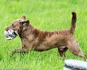 20170603-shrl-0885