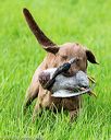 20170603-shrl-0889