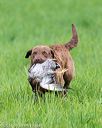 20170603-shrl-0892