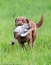 20170603-shrl-0893