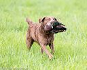 20170603-shrl-0907