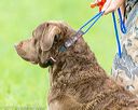 20170603-shrl-0913