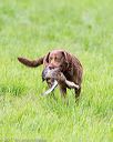 20170603-shrl-0922