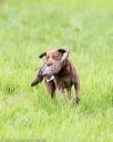 20170603-shrl-0923