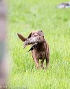 20170603-shrl-0926