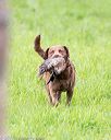 20170603-shrl-0931