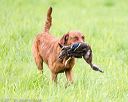 20170603-shrl-0944