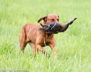 20170603-shrl-0946