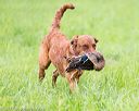20170603-shrl-0949