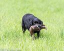 20170603-shrl-0968
