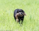 20170603-shrl-0970