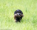 20170603-shrl-0972