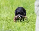 20170603-shrl-0977