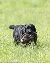 20170603-shrl-0987