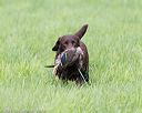 20170603-shrl-1009
