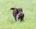 20170603-shrl-1011