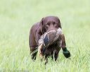 20170603-shrl-1020
