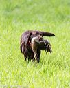 20170603-shrl-1029