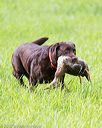 20170603-shrl-1031