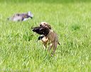 20170603-shrl-1047