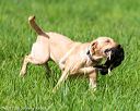 20170603-shrl-1051