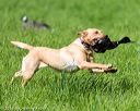 20170603-shrl-1054
