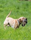 20170603-shrl-1073