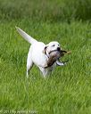 20170603-shrl-1127