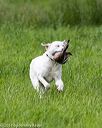 20170603-shrl-1129