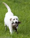 20170603-shrl-1138