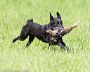 20170603-shrl-1153