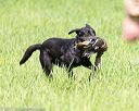 20170603-shrl-1156