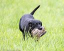 20170603-shrl-1195