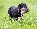20170603-shrl-1197