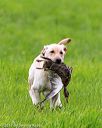 20170603-shrl-1240