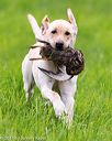 20170603-shrl-1247