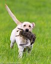 20170603-shrl-1248